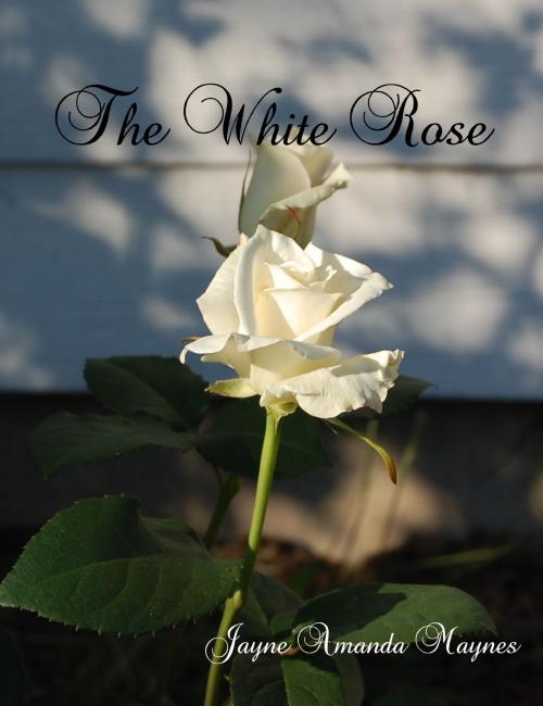 Cover of the book The White Rose by Jayne Amanda Maynes, Jayne Amanda Maynes