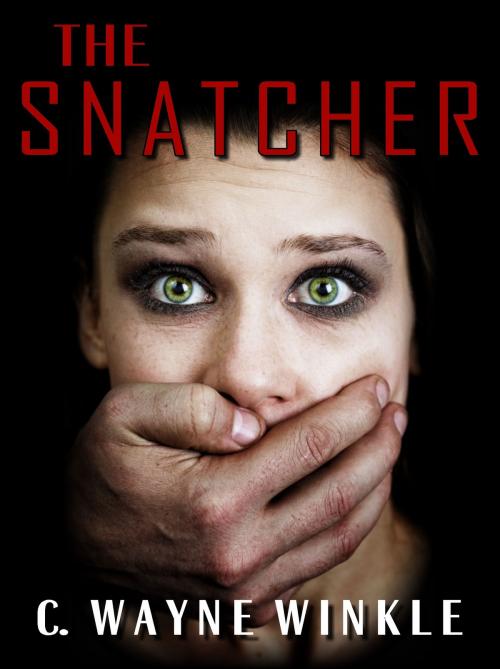 Cover of the book The Snatcher by C. Wayne Winkle, C. Wayne Winkle