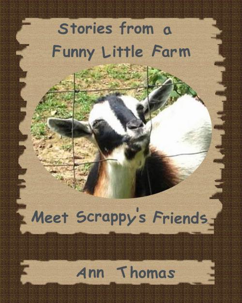 Cover of the book Stories from a Funny Little Farm: Meet Scrappy's Friends by Ann Thomas, Ann Thomas
