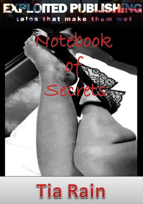 Cover of the book Notebook of Secrets by Tia Rain, Veenstra/Exploited Publishing Inc