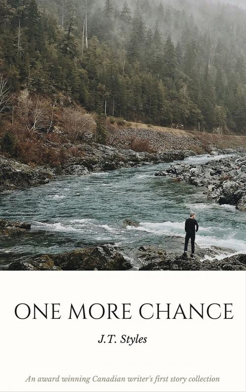 Cover of the book One More Chance by J.T. (Janni) Styles, J.T. (Janni) Styles