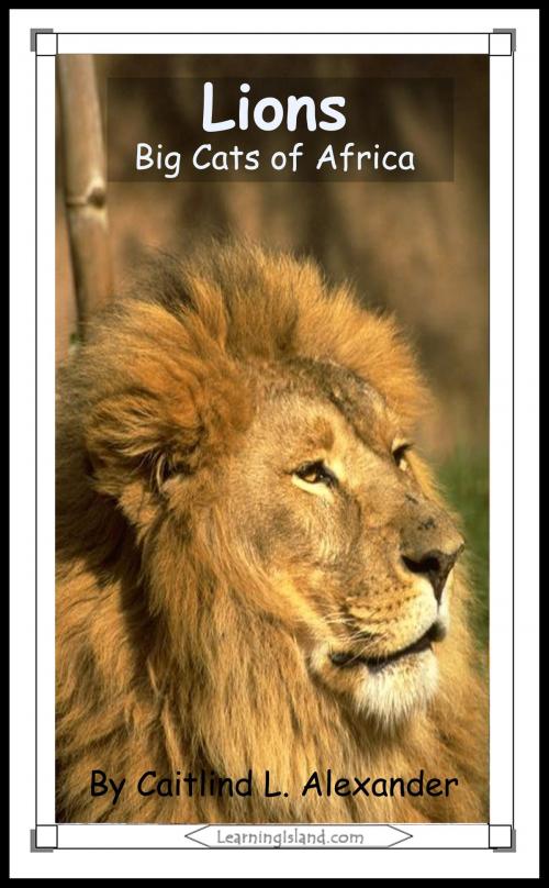 Cover of the book Lions: Big Cats of Africa by Caitlind L. Alexander, LearningIsland.com