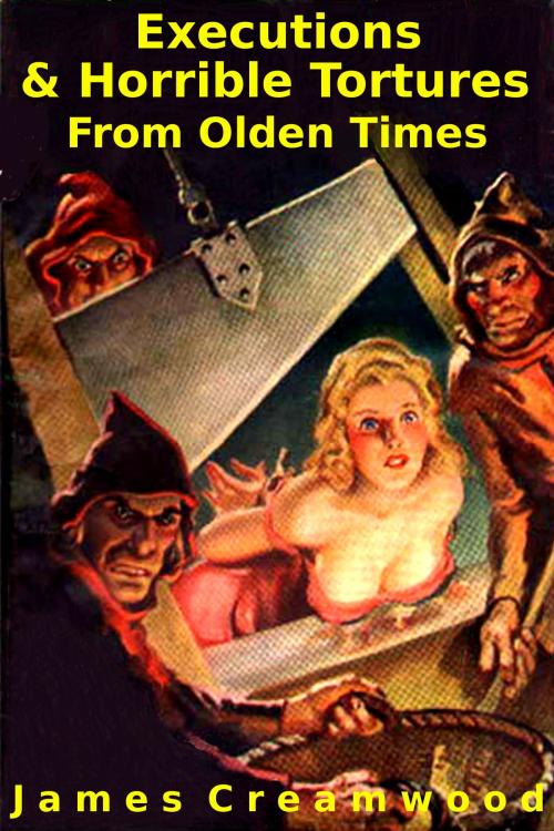 Cover of the book Executions & Horrible Tortures From Olden Times by James Creamwood, James Creamwood