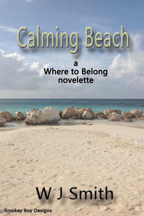 Cover of the book Calming Beach by W.J. Smith, W.J. Smith