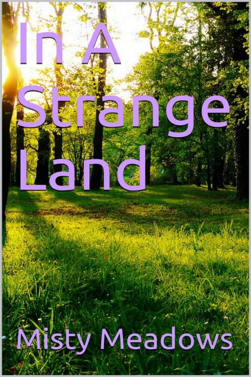 Cover of the book In A Strange Land (Public Sex, Multiple Men) by Misty Meadows, Misty Meadows