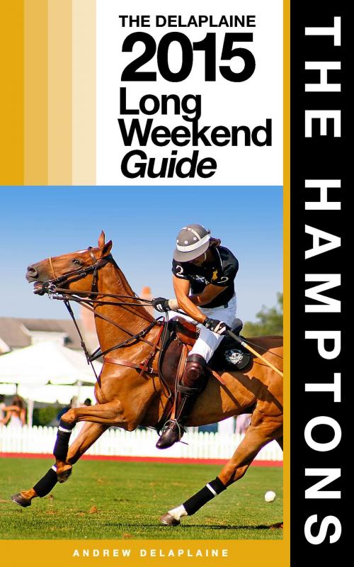 Cover of the book The Hamptons: The Delaplaine 2015 Long Weekend Guide by Andrew Delaplaine, Andrew Delaplaine