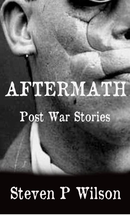 Cover of the book Aftermath by Steven Patrick Wilson, Steven Patrick Wilson
