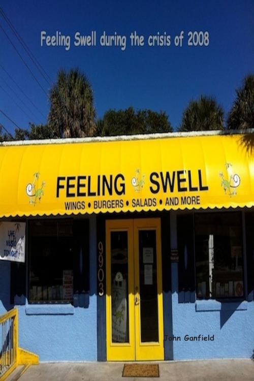 Cover of the book Feeling Swell During the Crisis of 2008 by John Ganfield, John Ganfield