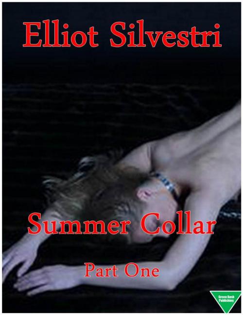 Cover of the book Summer Collar Part One by Elliot Silvestri, Elliot Silvestri