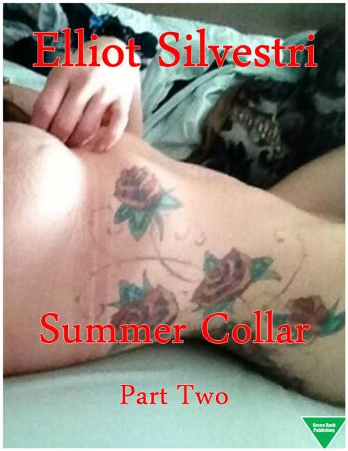 Cover of the book Summer Collar Part Two by Elliot Silvestri, Elliot Silvestri