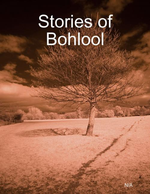 Cover of the book Stories of Bohlool by N/A, Lulu.com