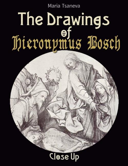 Cover of the book The Drawings of Hieronymus Bosch: Close Up by Maria Tsaneva, Lulu.com