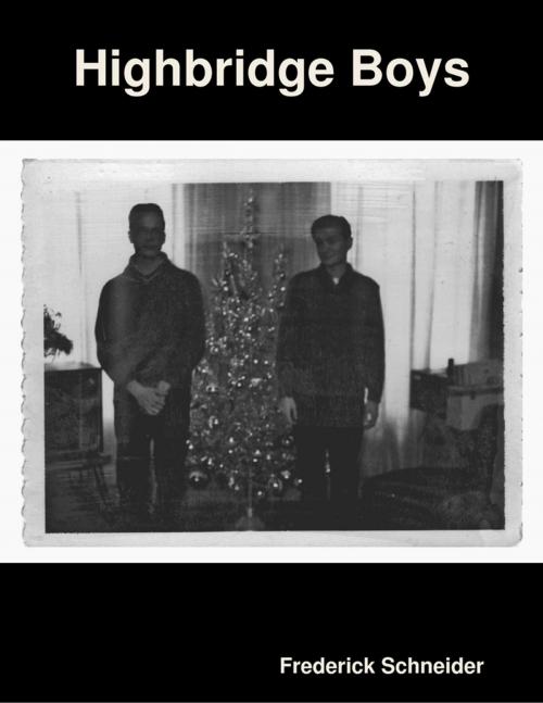 Cover of the book Highbridge Boys by Frederick Schneider, Lulu.com