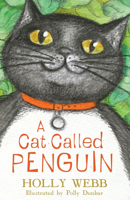 Cover of the book A Cat Called Penguin by Holly Webb, Scholastic UK