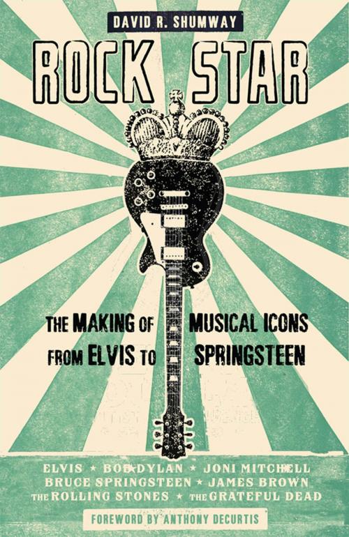 Cover of the book Rock Star by David R. Shumway, Johns Hopkins University Press