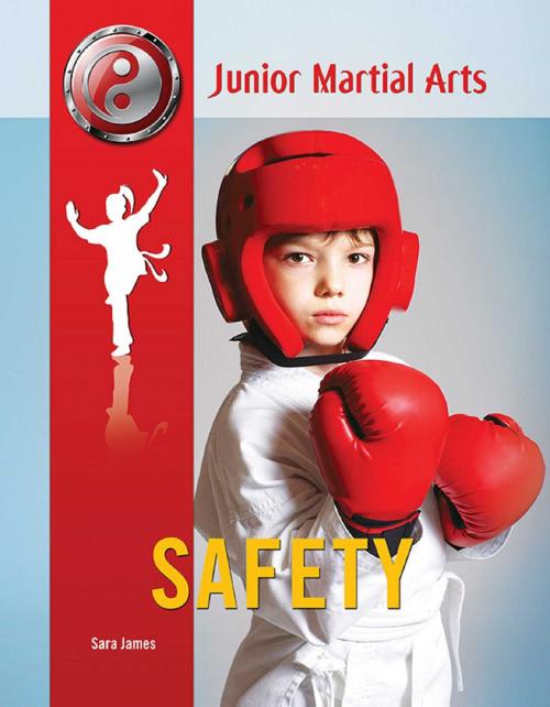 Cover of the book Safety by Sara James, Mason Crest