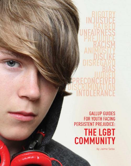 Cover of the book Gallup Guides for Youth Facing Persistent Prejudice by Jaime Seba, Mason Crest