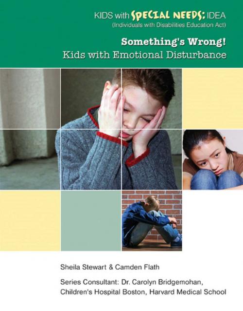 Cover of the book Something's Wrong! by Sheila Stewart, Mason Crest