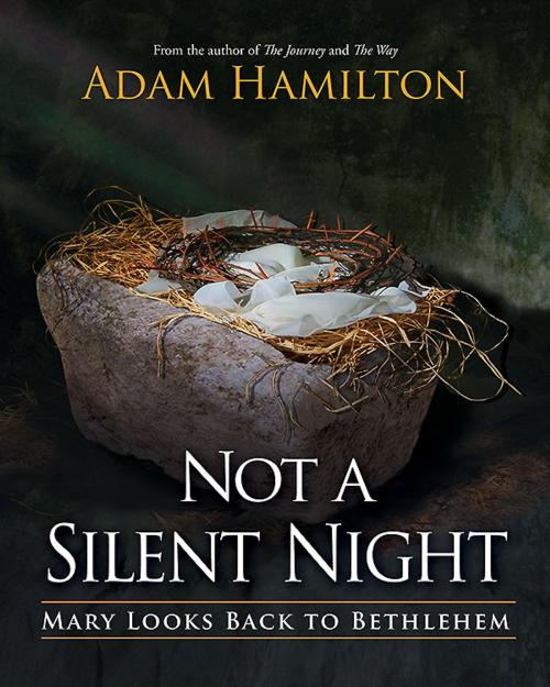 Cover of the book Not a Silent Night by Adam Hamilton, Abingdon Press