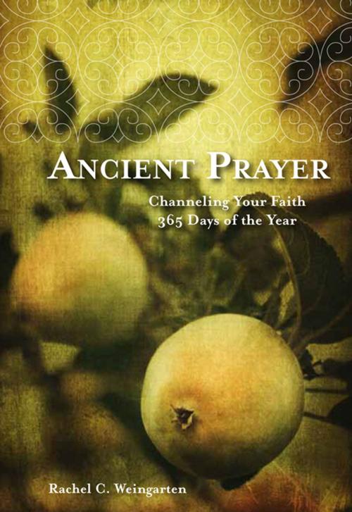 Cover of the book Ancient Prayer by Rachel C. Weingarten, Fall River Press