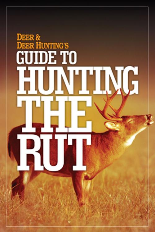 Cover of the book Deer & Deer Hunting's Guide to Hunting in the Rut by Deer & Deer Hunting Editors, F+W Media