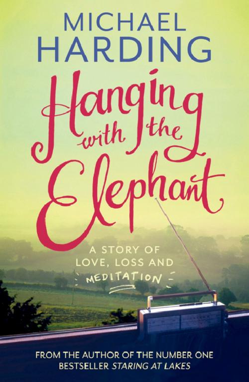 Cover of the book Hanging with the Elephant by Michael Harding, Hachette Ireland