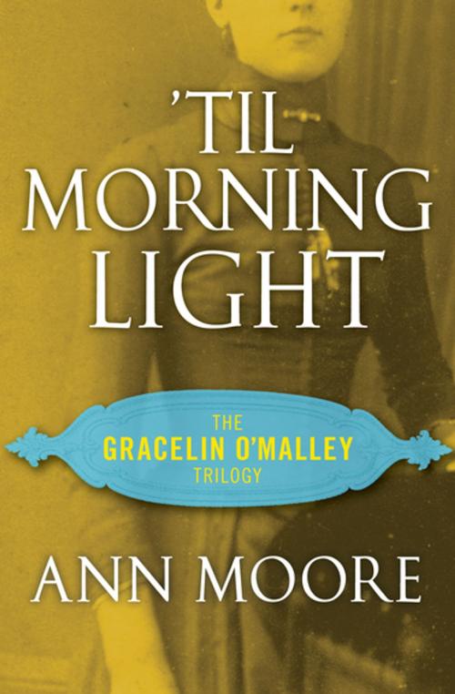 Cover of the book 'Til Morning Light by Ann Moore, Open Road Media