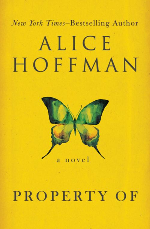 Cover of the book Property Of by Alice Hoffman, Open Road Media