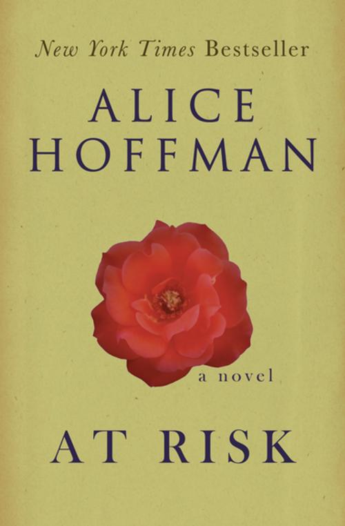 Cover of the book At Risk by Alice Hoffman, Open Road Media