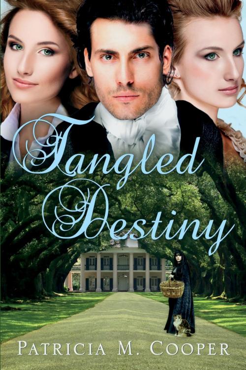 Cover of the book Tangled Destiny by Patricia M. Cooper, FriesenPress