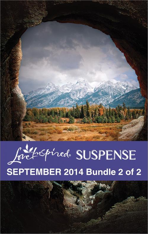 Cover of the book Love Inspired Suspense September 2014 - Bundle 2 of 2 by Sharon Dunn, Katy Lee, Vickie McDonough, Harlequin