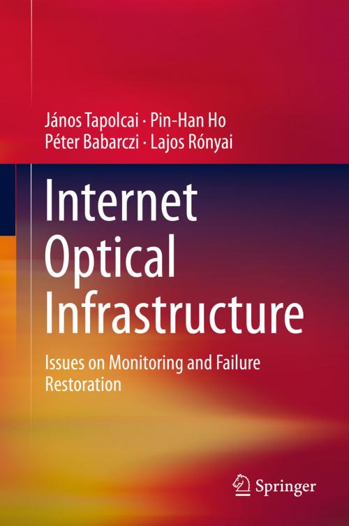 Cover of the book Internet Optical Infrastructure by János Tapolcai, Pin-Han Ho, Péter Babarczi, Lajos Rónyai, Springer New York