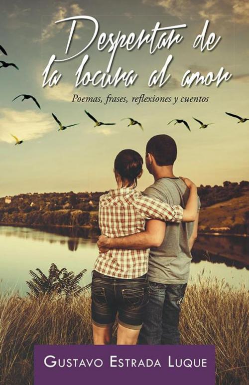 Cover of the book Despertar De La Locura Al Amor by Gustavo Estrada Luque, Palibrio