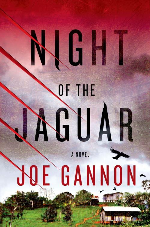 Cover of the book Night of the Jaguar by Joe Gannon, St. Martin's Press