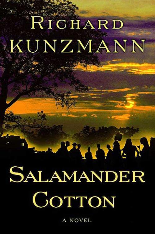 Cover of the book Salamander Cotton by Richard Kunzmann, St. Martin's Press