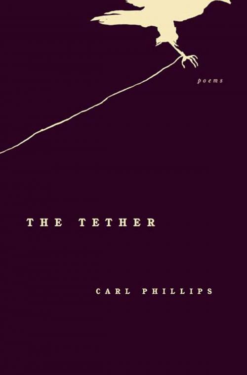 Cover of the book The Tether by Carl Phillips, Farrar, Straus and Giroux