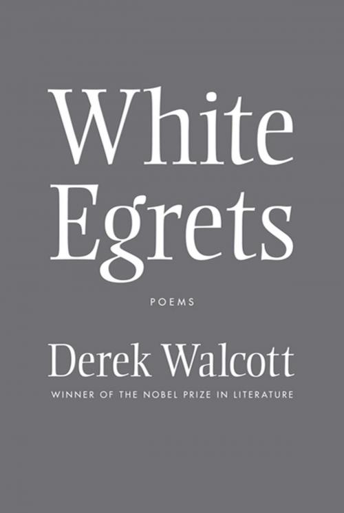 Cover of the book White Egrets by Derek Walcott, Farrar, Straus and Giroux