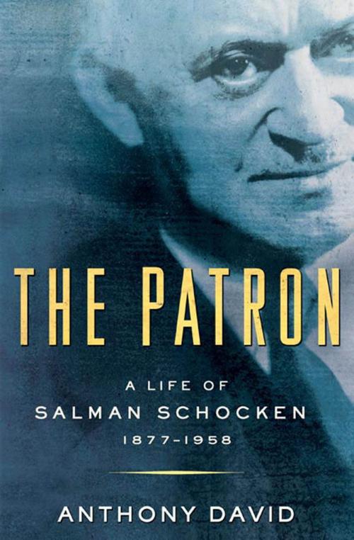 Cover of the book The Patron: A Life of Salman Schocken, 1877-1959 by Anthony David, Henry Holt and Co.