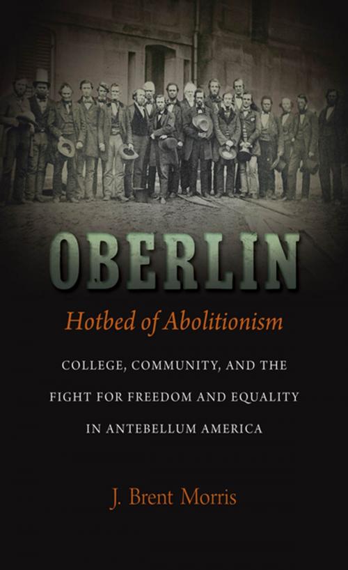 Cover of the book Oberlin, Hotbed of Abolitionism by J. Brent Morris, The University of North Carolina Press