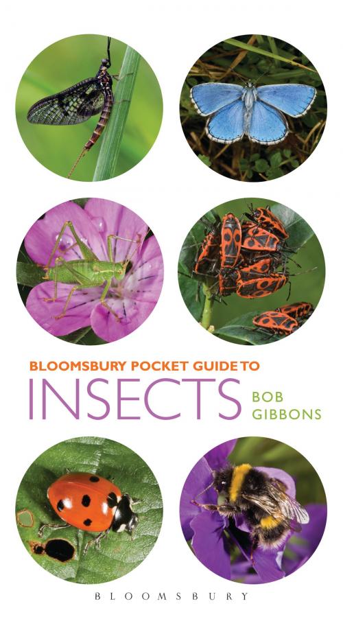 Cover of the book Pocket Guide to Insects by Bob Gibbons, Bloomsbury Publishing