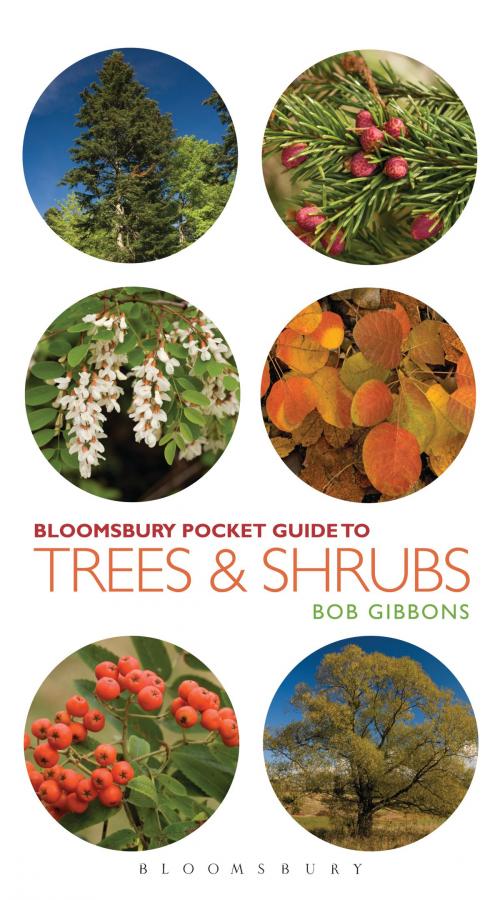 Cover of the book Pocket Guide to Trees and Shrubs by Bob Gibbons, Bloomsbury Publishing