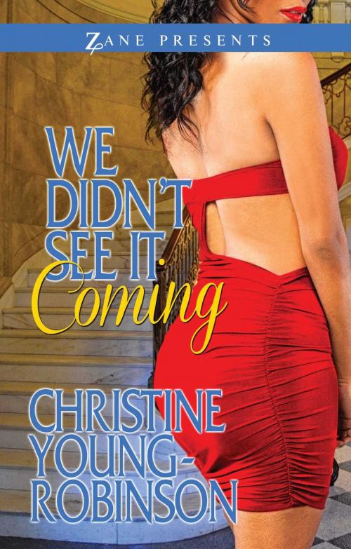 Cover of the book We Didn't See it Coming by Christine Young-Robinson, Strebor Books