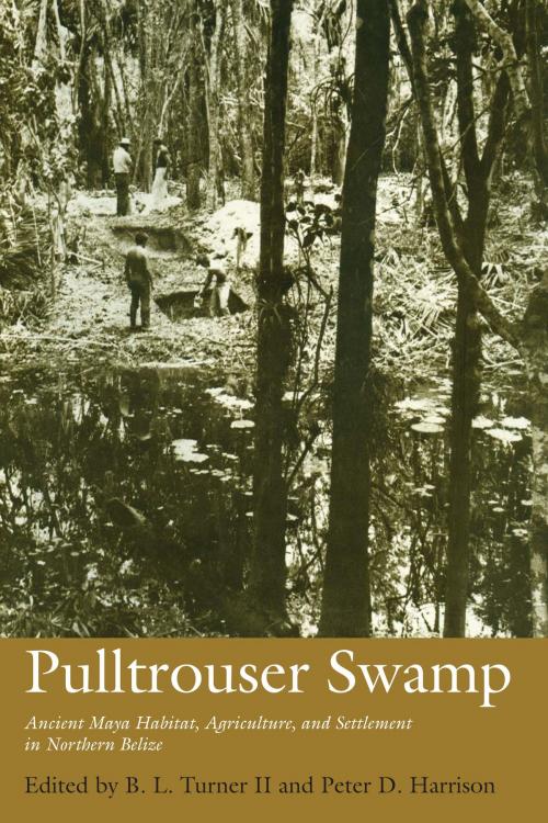 Cover of the book Pulltrouser Swamp by , University of Texas Press