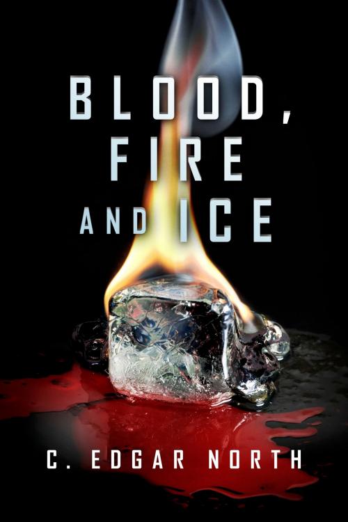 Cover of the book Blood, Fire and Ice by C. Edgar North, BookBaby