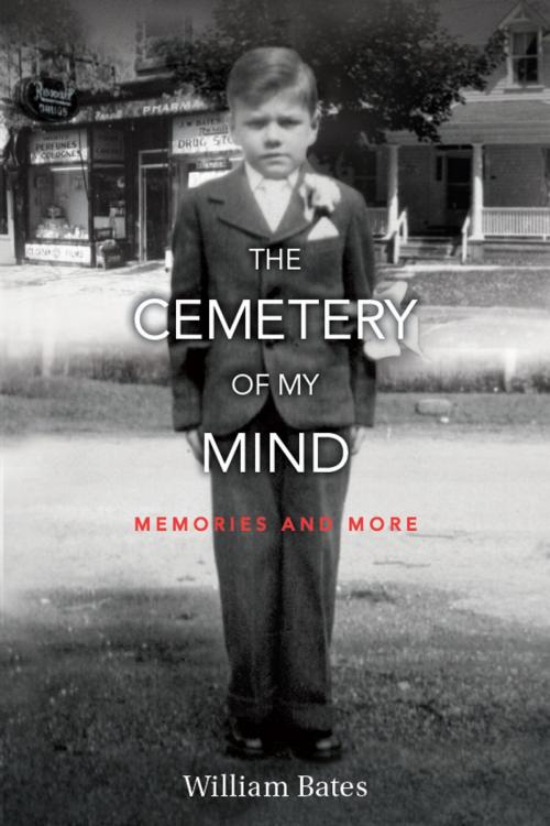 Cover of the book The Cemetery of My Mind by William Bates, BookBaby
