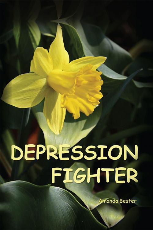 Cover of the book Depression Fighter by Amanda Bester, WestBow Press