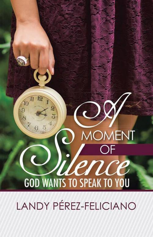Cover of the book A Moment of Silence by Landy Pérez-Feliciano, WestBow Press