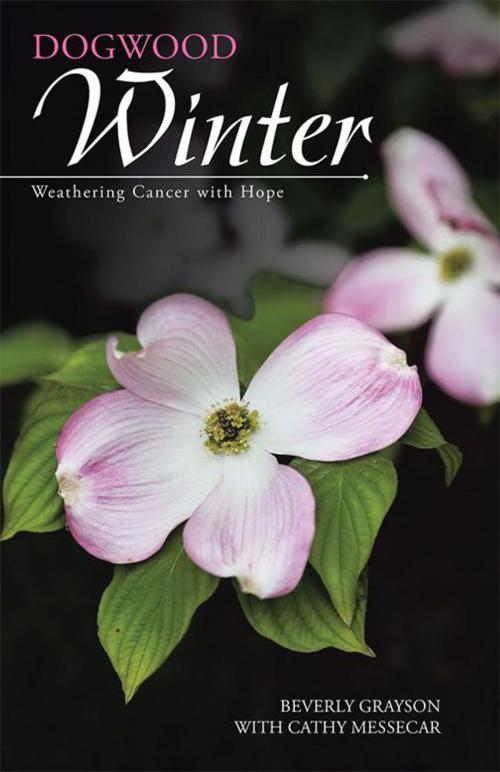 Cover of the book Dogwood Winter by Beverly Grayson, Cathy Messecar, WestBow Press