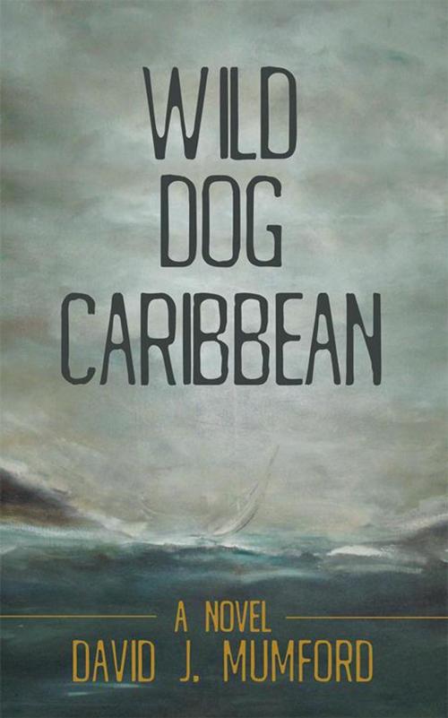 Cover of the book Wild Dog Caribbean by David J. Mumford, iUniverse