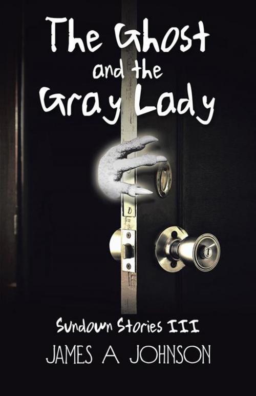 Cover of the book The Ghost and the Gray Lady by James A Johnson, iUniverse